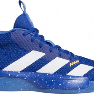 Adidas Pro Next Koripallokengät